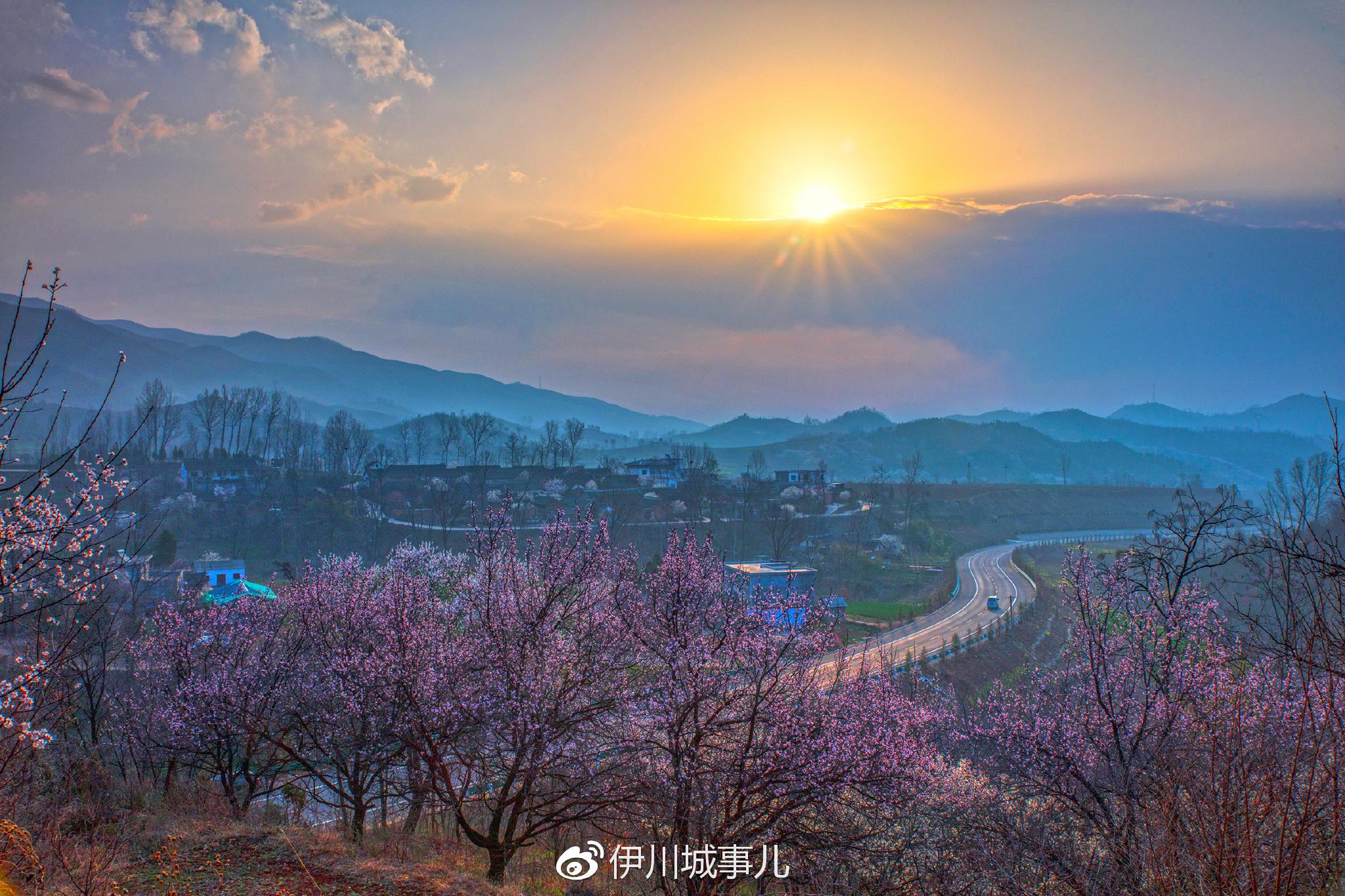 清明节偶遇奇境栾川山花节,踏青赏花正当时