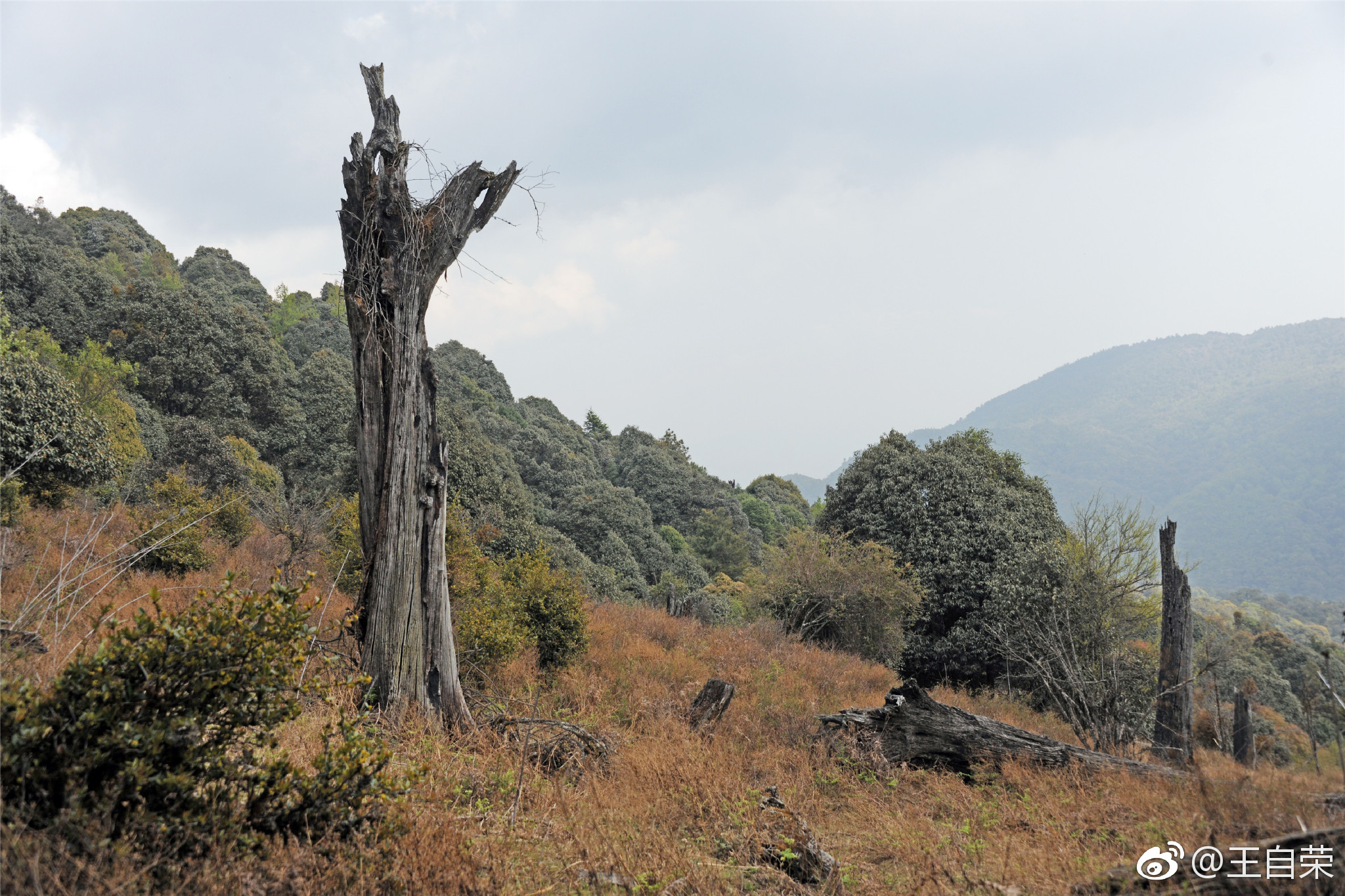 沧桑(临沧邦东大雪山).