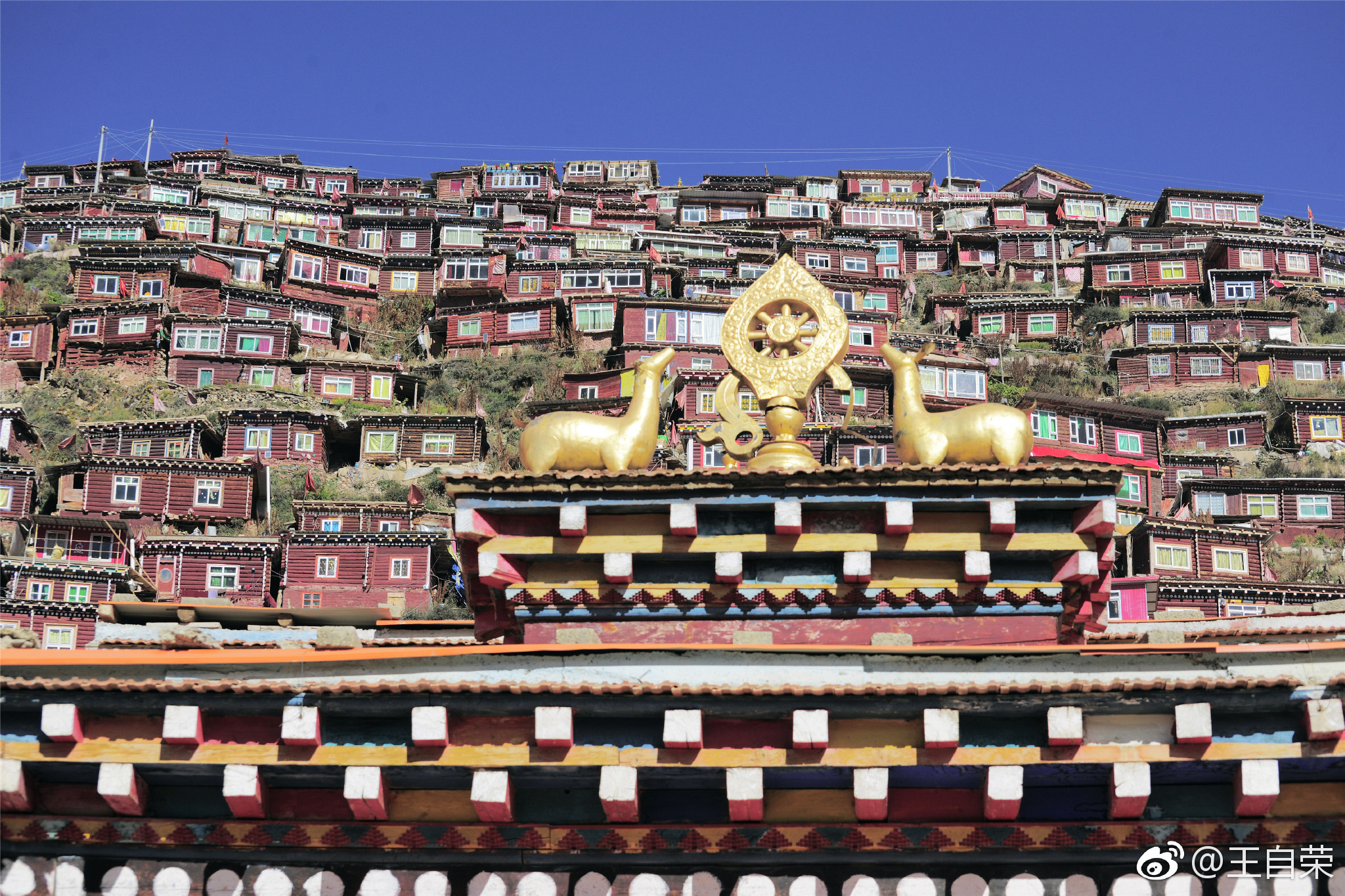仍旧是川西,色达佛学院,红色的建筑,虔诚的信仰_新浪看点