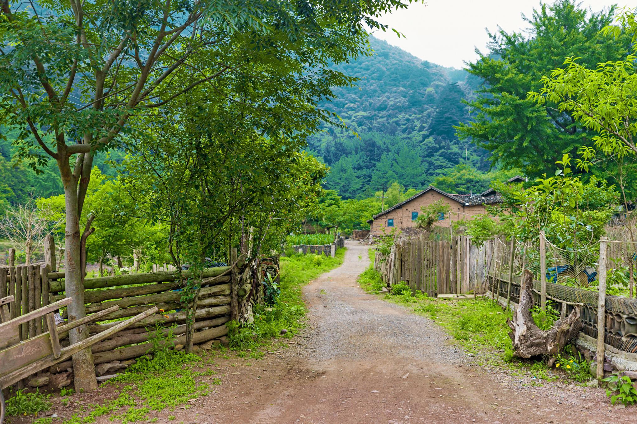 黄仙洞景区的世外桃源一个原始质朴的村子这个村子的人姓杨相传杨