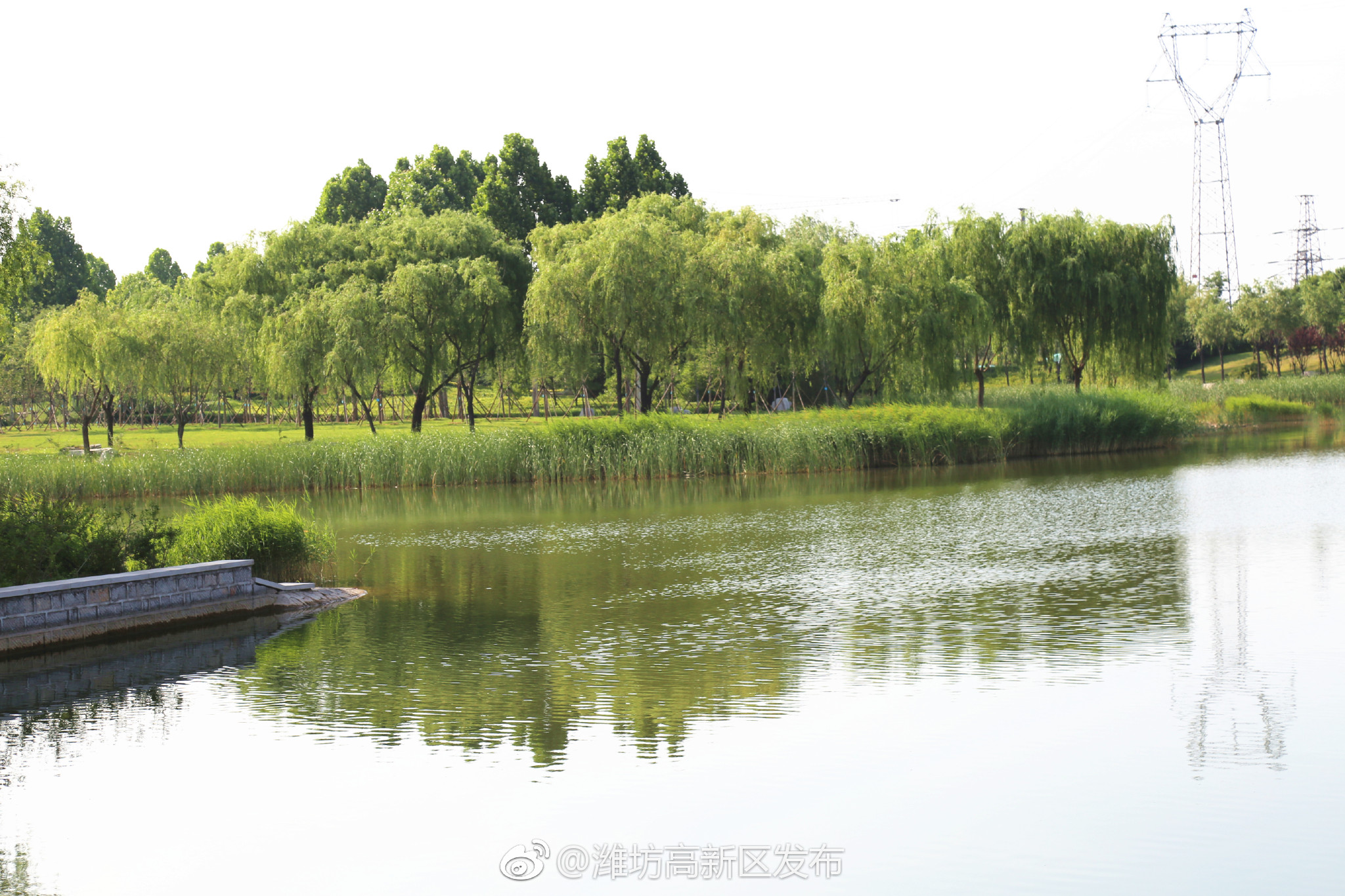 在潍坊高新区有一种风景如画,叫浞河