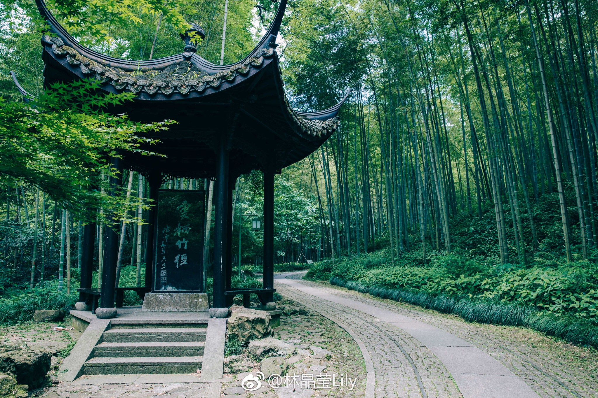 杭州小众避暑地:云栖竹径.这是一座山坞里的公园