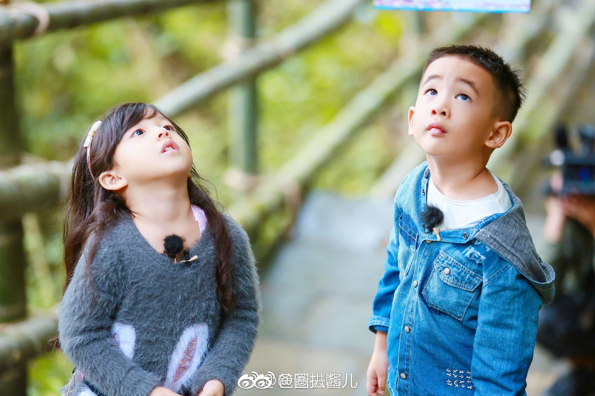 应采儿晒出的照片中,jasper和小泡芙正在视频通话