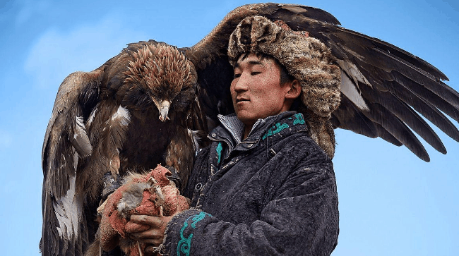 这雕好帅, 养只大雕好打猎