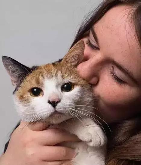 猫眼中的主人是怎样的?猫能懂人!|猫|主人|人类_新浪新闻