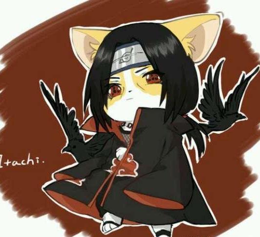 火影忍者:原来晓组织也可以住么萌,这么可爱的鼬神好想抱抱!