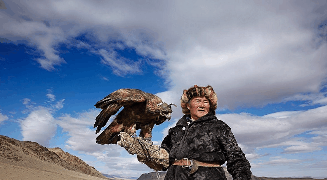 这雕好帅, 养只大雕好打猎