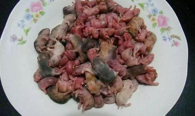 3,老鼠幼崽 这道美食还有个有趣的名字叫"三吱儿",用刚生下来不久的