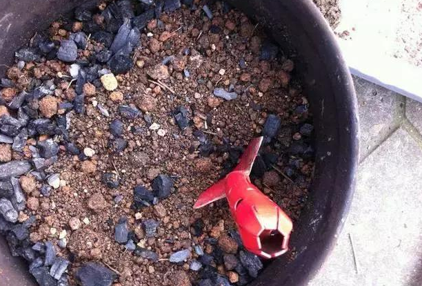 教你一招自制草木灰钾肥!简单实用!