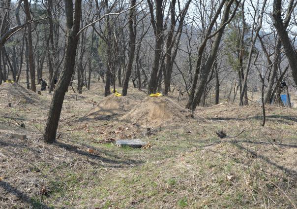 张丫从小机灵古怪,天不怕地不怕,从小在山上乱跑着长大,山上的坟圈子