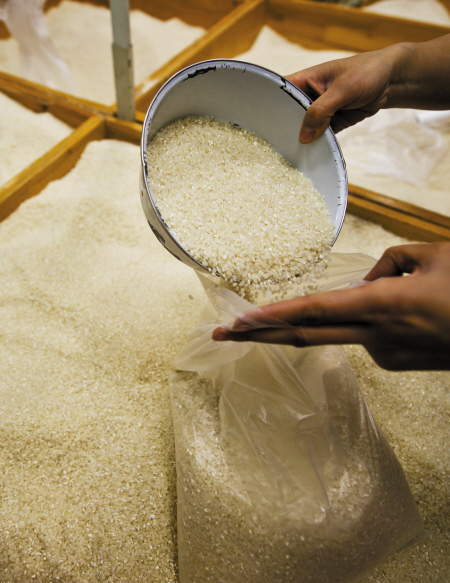 卖大米的小伙子