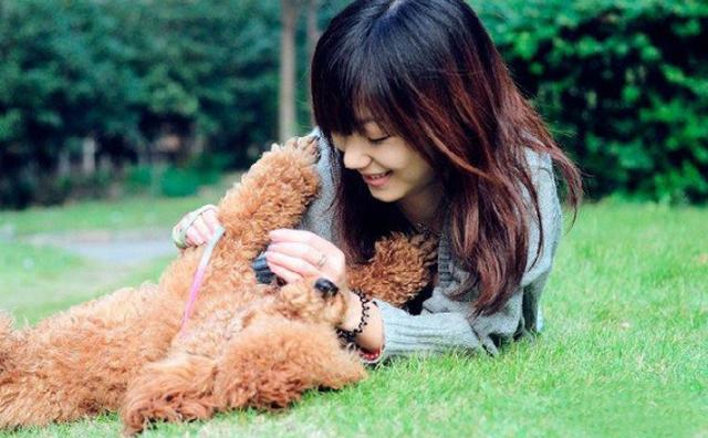 实拍惬意的午后,闺蜜和她家泰迪温暖瞬间,先偷偷的放上几张