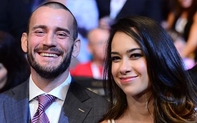 cm·朋克与aj·李被曝,同时参演恐怖新作《狂犬病》