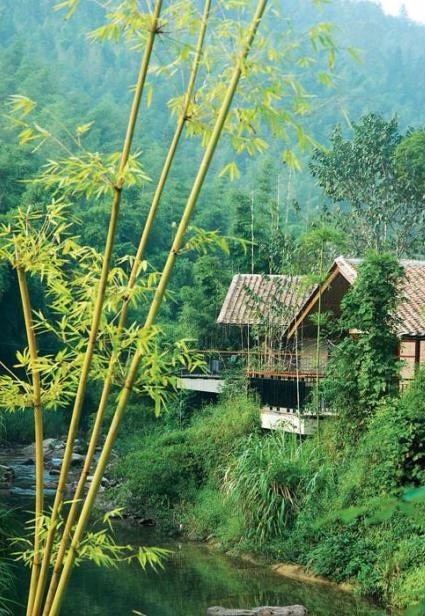 择幽山静地,筑茅庐栖身|乔岳|霁月光风|竹黄_新浪新闻