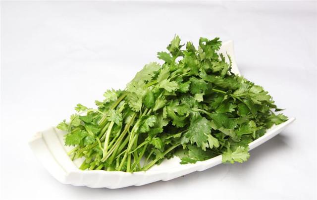 香菜真的是个奇物你肯定还不知道