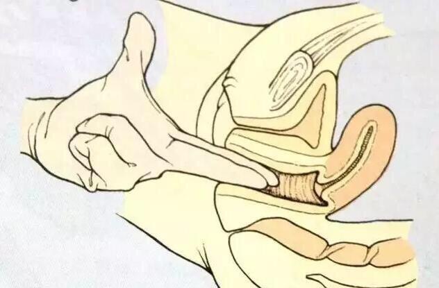 这几种孕妈妈生娃时开十指很快看看你在不在其中