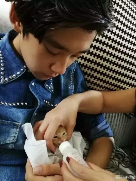 王琳的儿子戴牙套依然帅气,而她的儿子不愧是中国顶尖颜值生的!