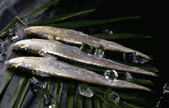 640_411gif 动态图 动图