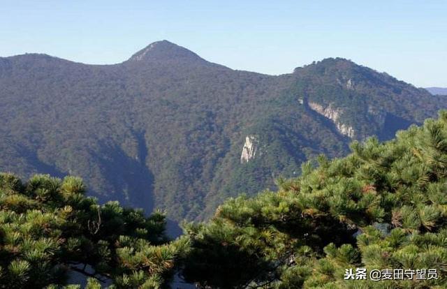 浙江各地市最高峰,一座比一座惊艳,再也不担心爬错山了|浙江|最高峰|海拔_新浪新闻