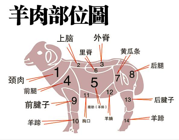 最齐全的羊肉16个部位图解,真诚的教您如何食用羊肉和辨别假羊肉