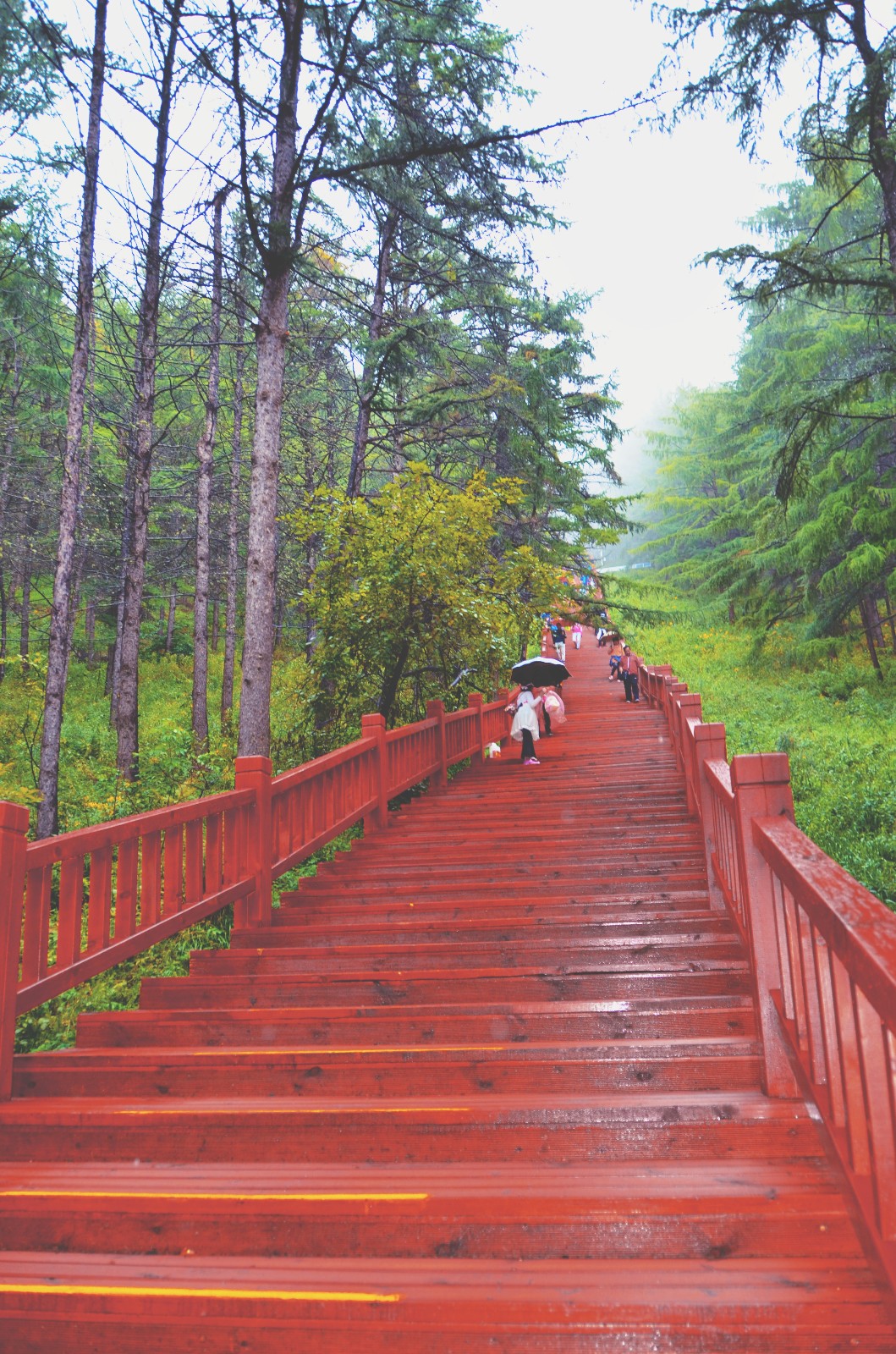 998级木台阶登上阿尔山国家森林公园天池风景区原创摄影