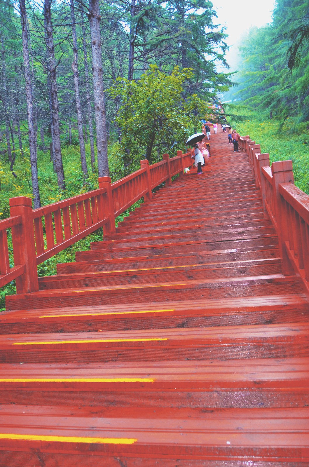 998级木台阶登上阿尔山国家森林公园天池风景区原创摄影