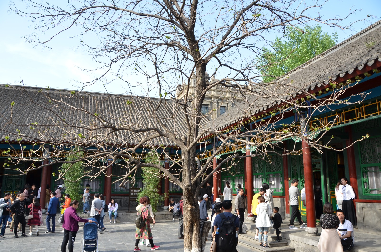 张学良府邸,大青楼,小青楼,帅府巷.拍于沈阳张氏帅府