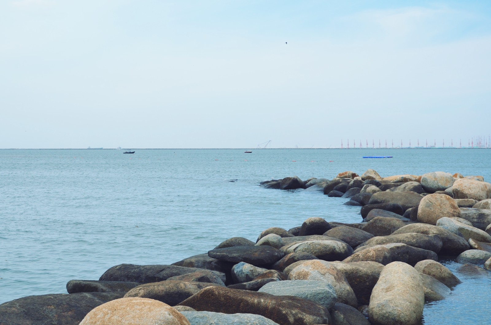 凡事皆需苦后得一心从来恒而成辽宁盘锦金帛滩海边风光