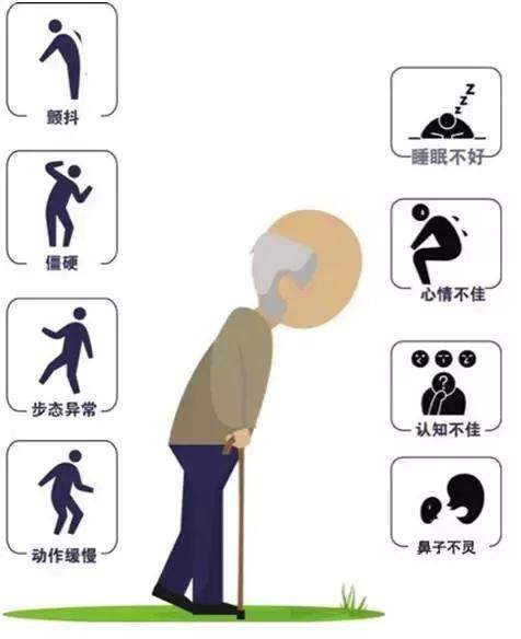 帕金森病是一种运动障碍性疾病,其主要运动症状有三个,分别是:运动