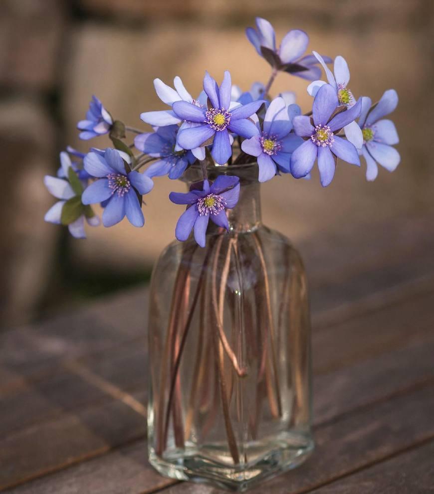 用户将共享汽车停在收费停车场后离开, 费用怎