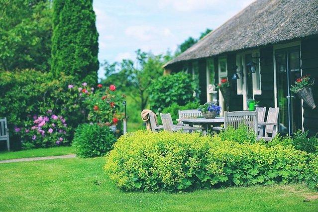 国王节的全橙狂欢!一起邂逅花花世界