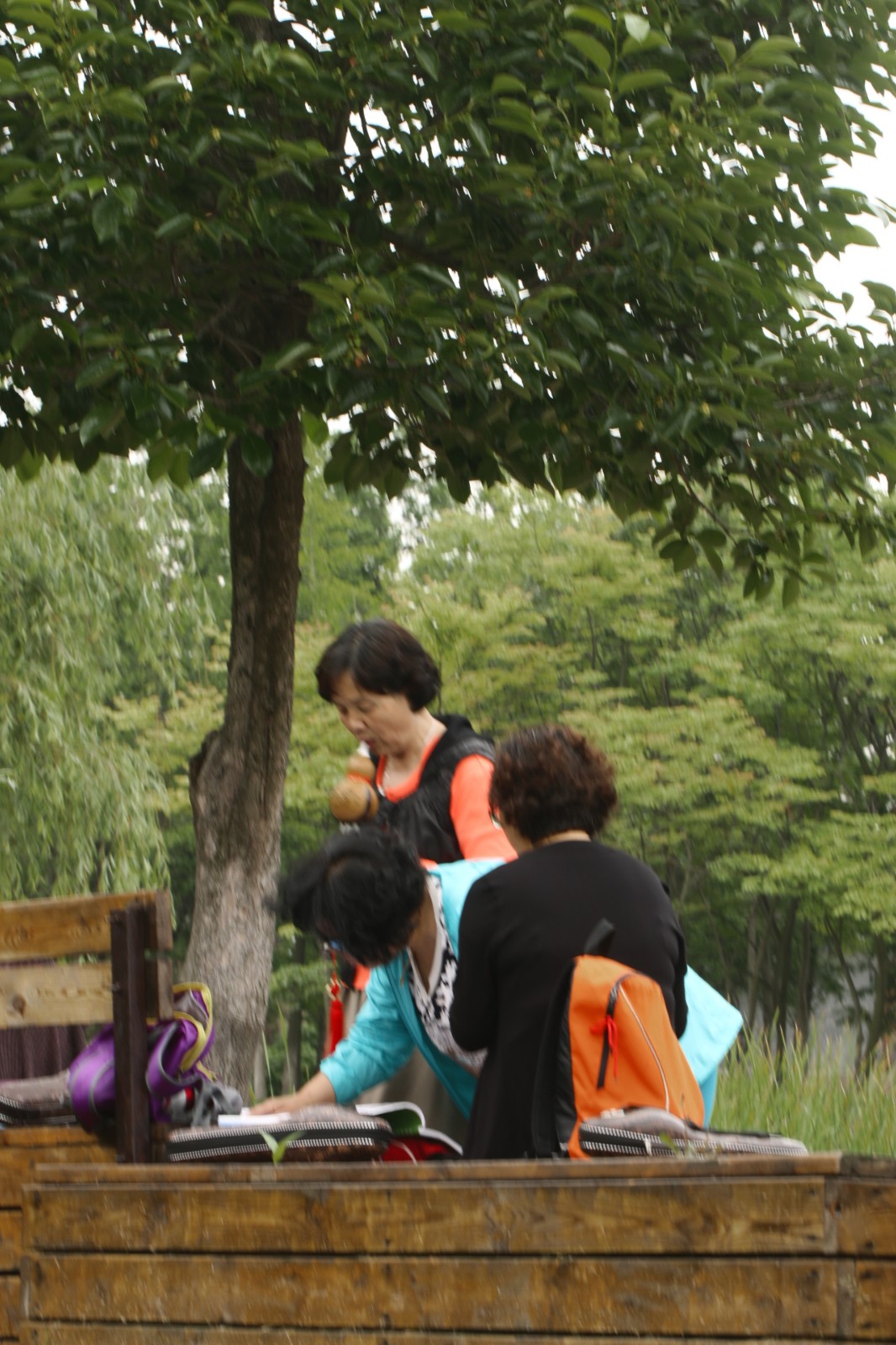 【摄影图集】清晨太平角公园里的大爷儿大妈儿们