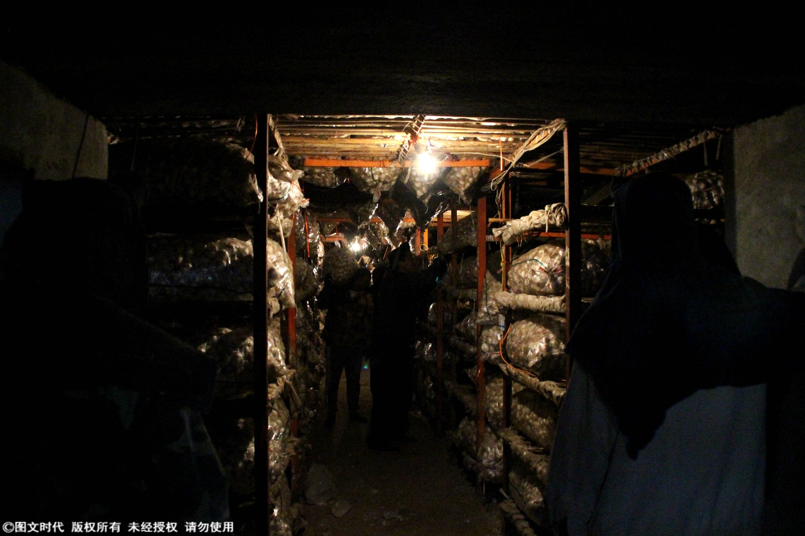 2018年大蒜出库:蒜商全部赔钱,倾家荡产已是稀