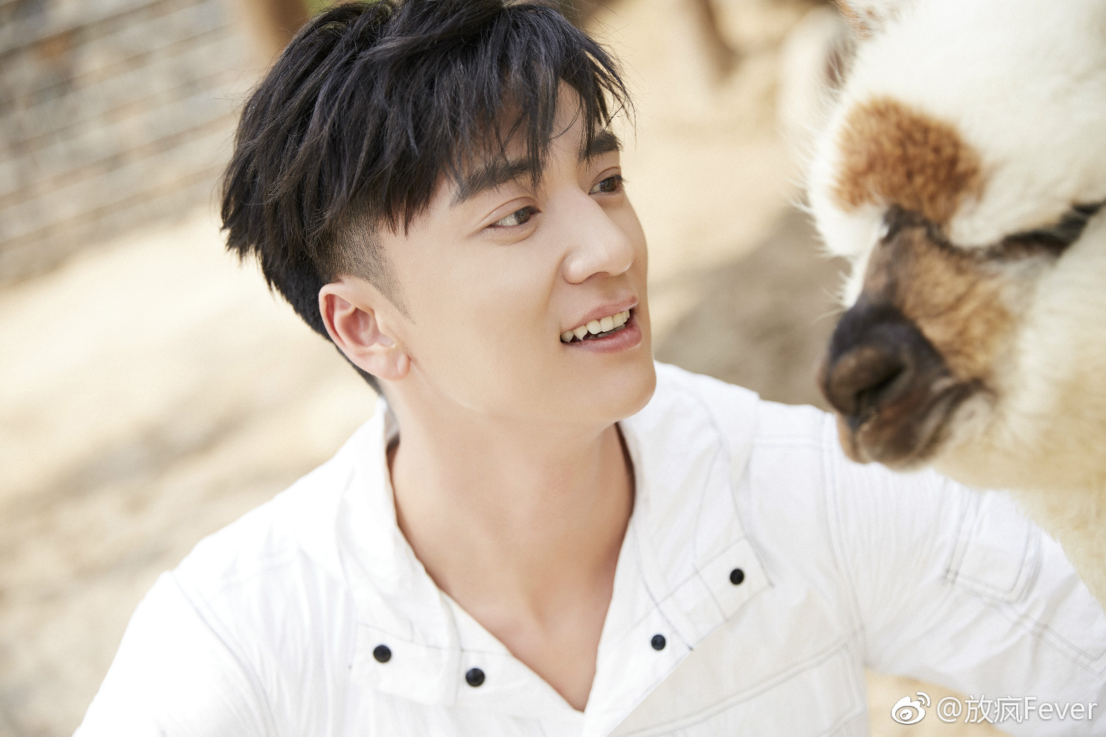 近日,演员 曝光一组最新写真.在清新的午后,远离喧嚣