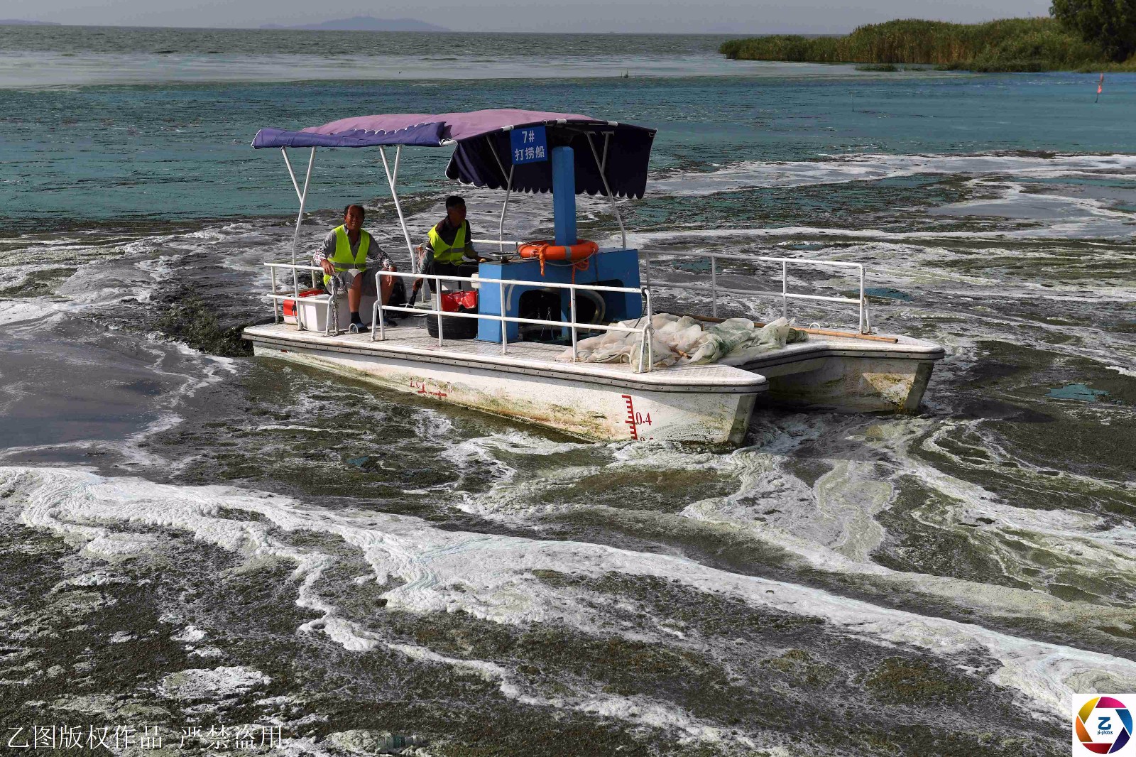 航拍巢湖蓝藻如绿色画卷十分壮观打捞队顶高温加班作业