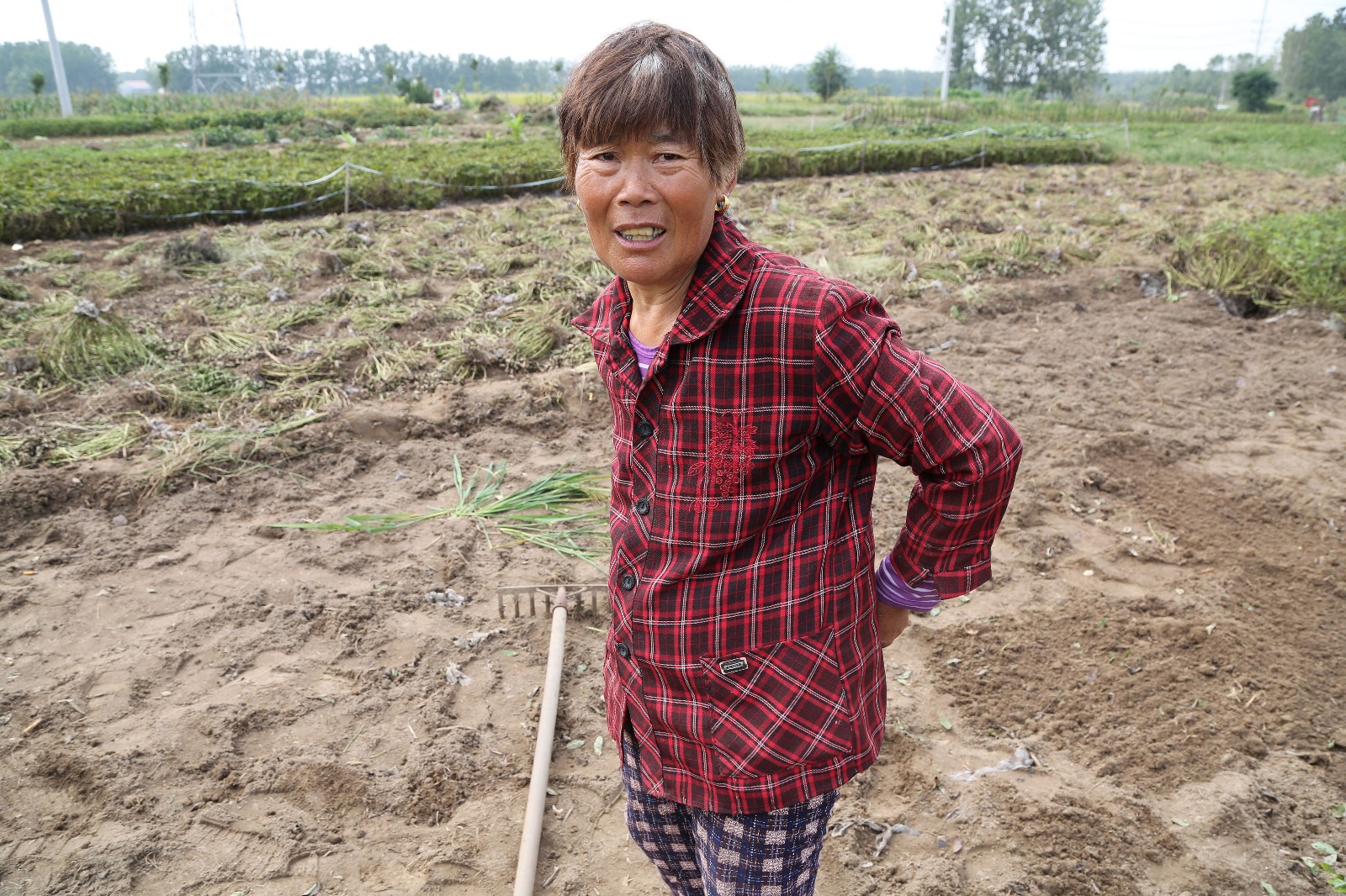 赣榆农妇花生大丰收笑的合不拢嘴 提及二儿子瞬间愁上眉头