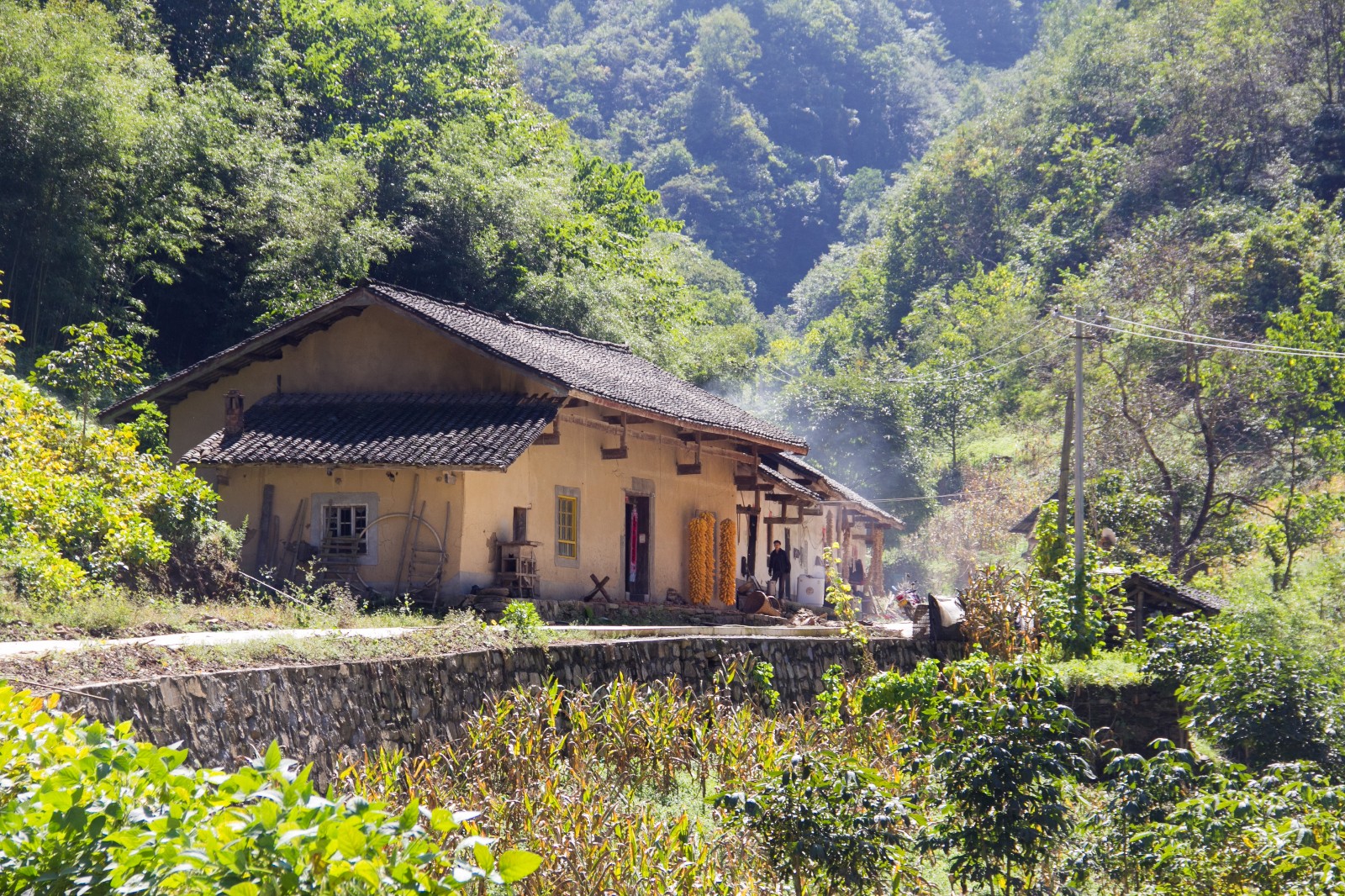 乔家沟,一个不曾被遗忘的村落, 板栗散落一地都没人去拾
