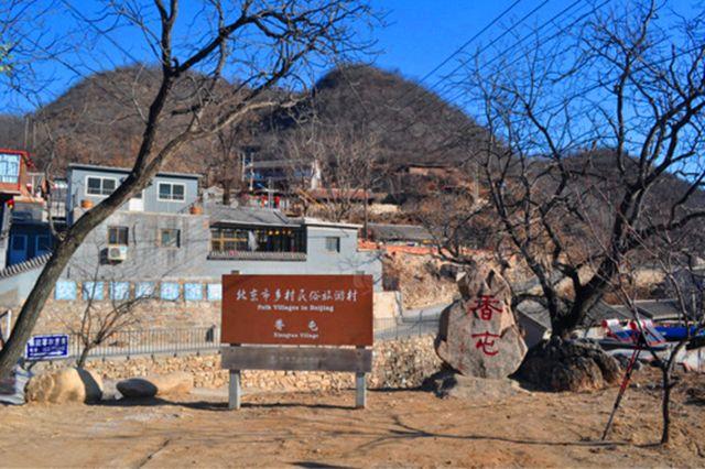 家立业,繁衍生息,逐渐形成村落因此先辈们选中了这块风水宝地,后山靠