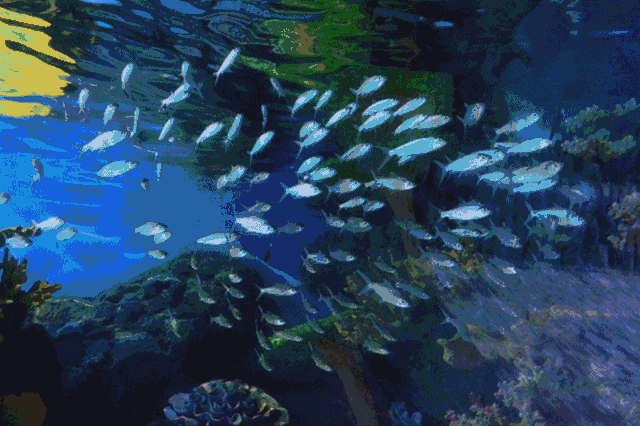 重磅西北最大的海洋王国正式开业西安爸妈溜娃的又一好去处