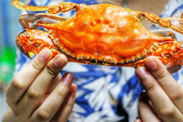 小水坑里贪玩的小鱼小虾,还有在沙滩上肆无忌惮晒太阳的螃蟹