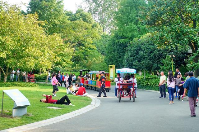 黄金周青枫公园游人如织,最受欢迎的娱乐项目有三样