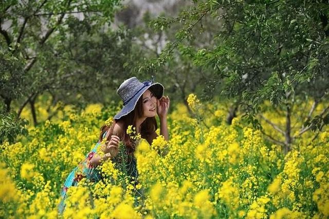 郑州春天最应该去这13个地方,春暖花开的季节你去过哪几个呢?