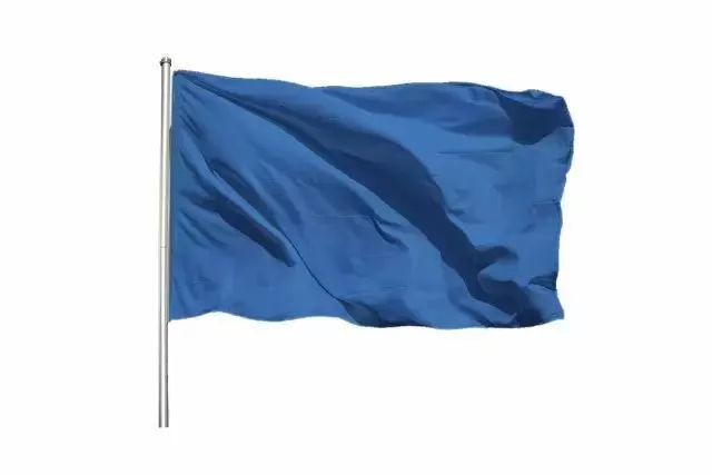 cec课堂|赛场上的各色旗语