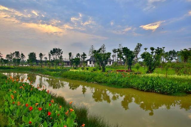 麻涌这个名字是怎么来的 东莞麻涌镇属于哪个区