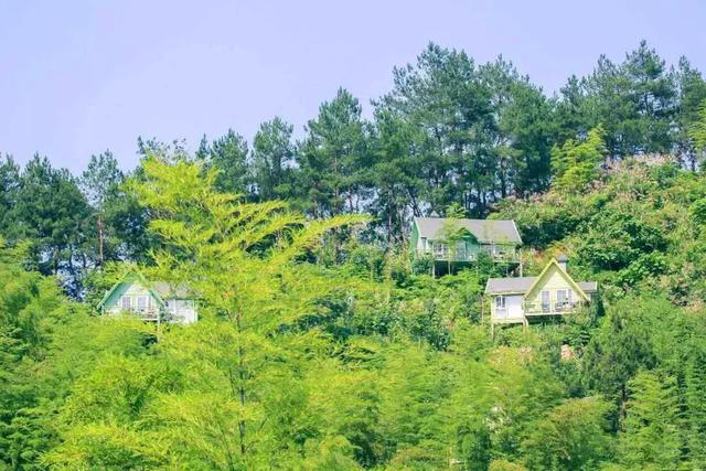 又挖到一个森林童话庄园,仿如爱丽丝仙境,还有萌宠陪你撒欢