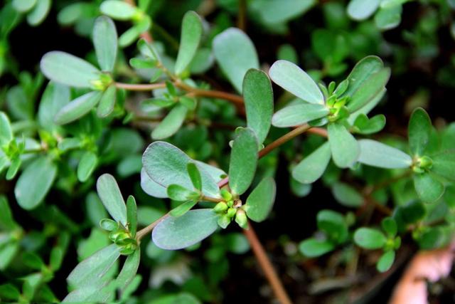 脾胃差百病生养胃的八条红线请勿靠近沾上一条就很危险