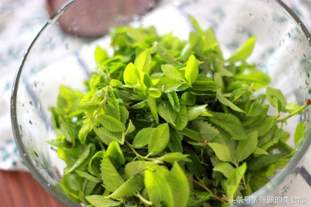 这树叶很多人都叫不出名字,它与鸡蛋炒吃甚是美味,吃了还想吃!