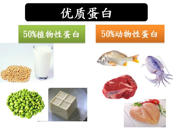 补充蛋白质的食物都有哪些【蛋白质的食物有哪些】