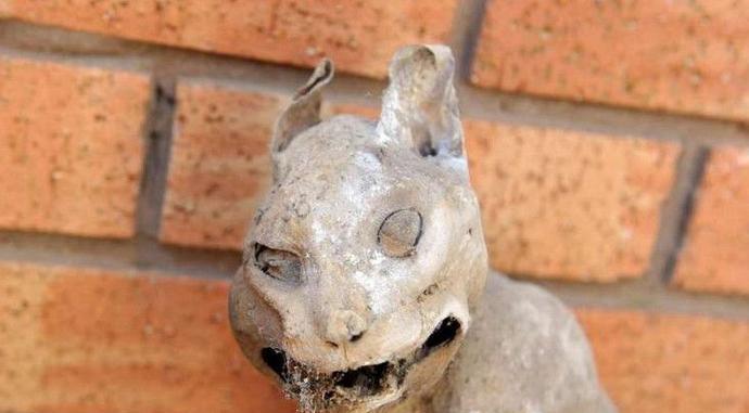 掉下来了这个恐怖东西, 知道用手一摸, 才知道这是什么玩意