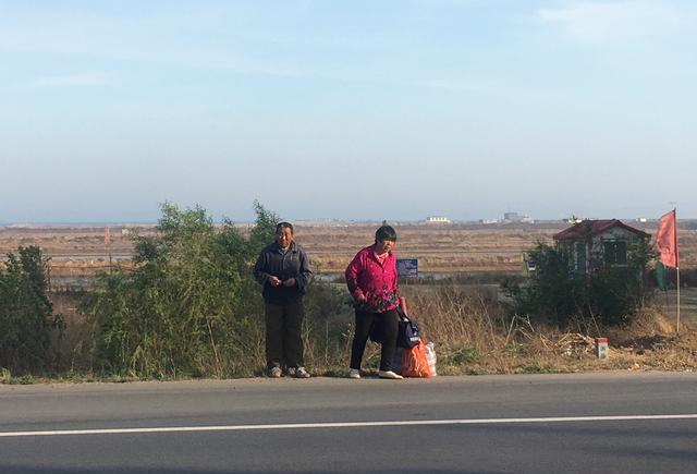 我的海岸线纯徒步旅行第38天,宿绥中小蜊蝗,你真喜欢过什么吗